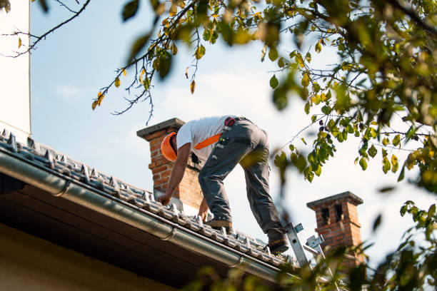 Best Best Roofing Contractors  in Watervliet, MI
