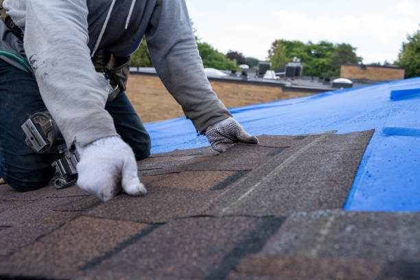 Best Roof Gutter Cleaning  in Watervliet, MI