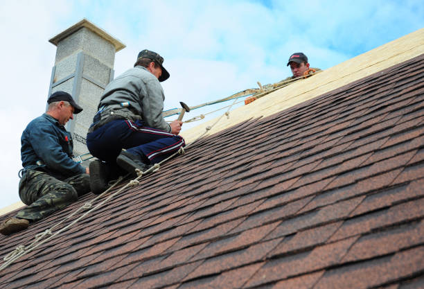 Best Roof Leak Repair  in Watervliet, MI