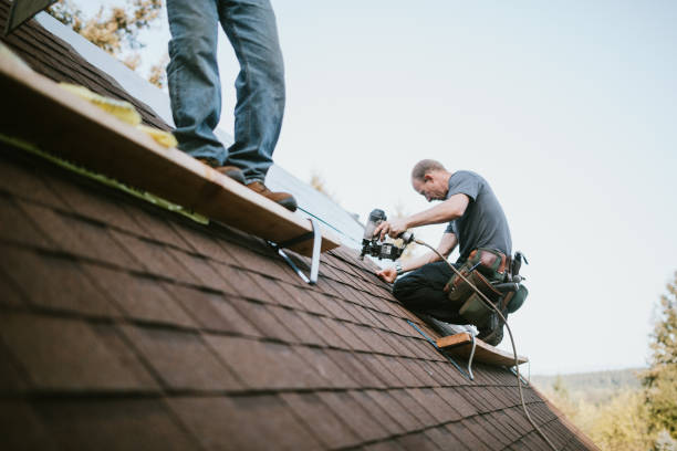 Best Metal Roofing Contractor  in Watervliet, MI