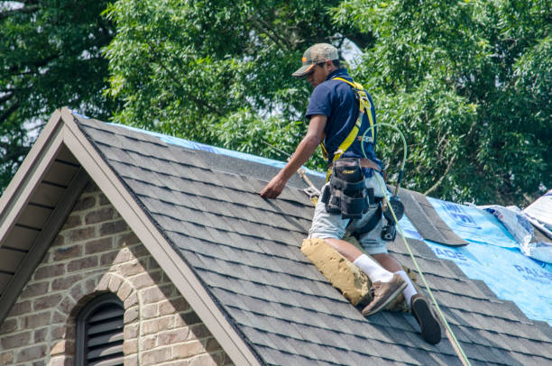 Best Roof Leak Repair  in Watervliet, MI